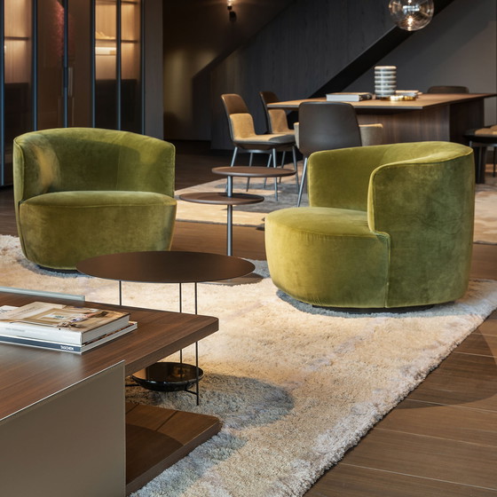 Image 1 of Poltrona Elain Molteni&C