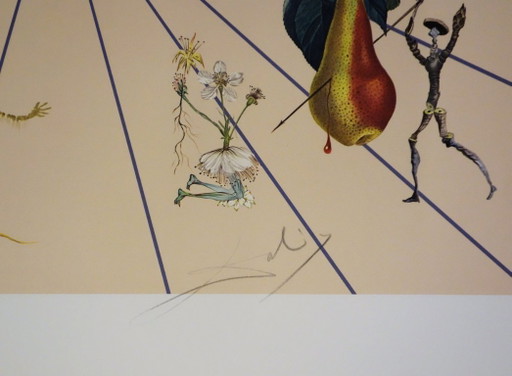 Salvador Dali : Flordali, La Rose Papillon, Lithographie Originale Signée – lithos zeefdrukken, Paper (photo 2 of 6)