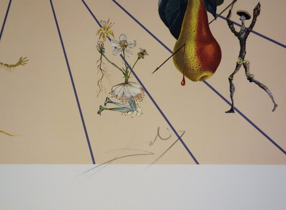 Salvador Dali : Flordali, La Rose Papillon, Lithographie Originale Signée – Lithographies et sérigraphies (photo 2 of 6)