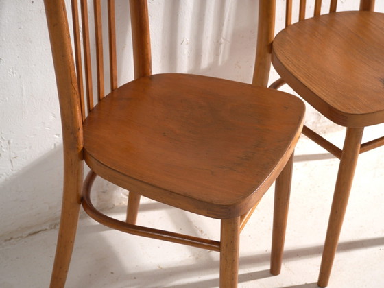 Antique chairs in TON bentwood – Czechoslovakia, circa 1960 #9 – Dining chairs (photo 29 of 40)