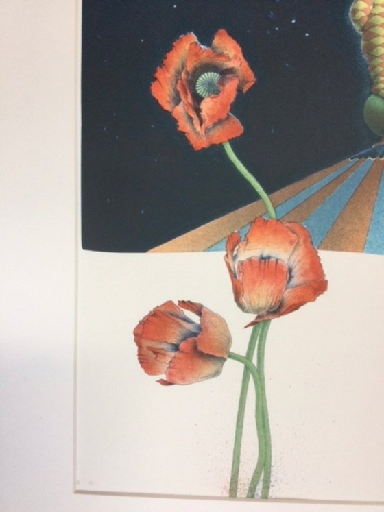 Image 1 of Ernst Hanke Litho (et al.); die Schwerkraft ist relativ