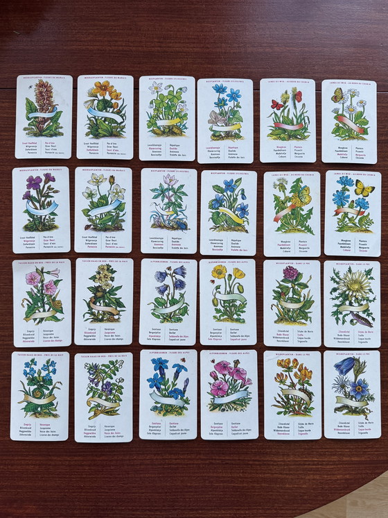 Image 1 of Vintage Bloemenkwartet Jeu de Fleurs - Diabolo 1964 – compleet
