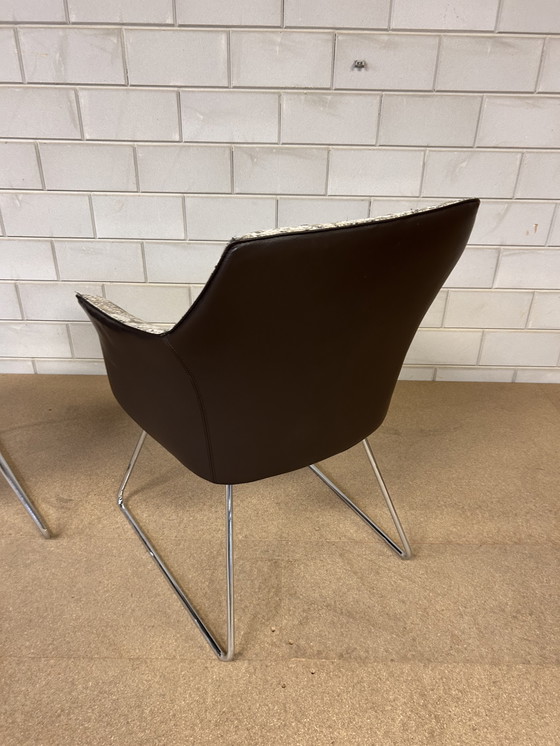 Image 1 of Sedie da pranzo Leolux Mara 2 pezzi