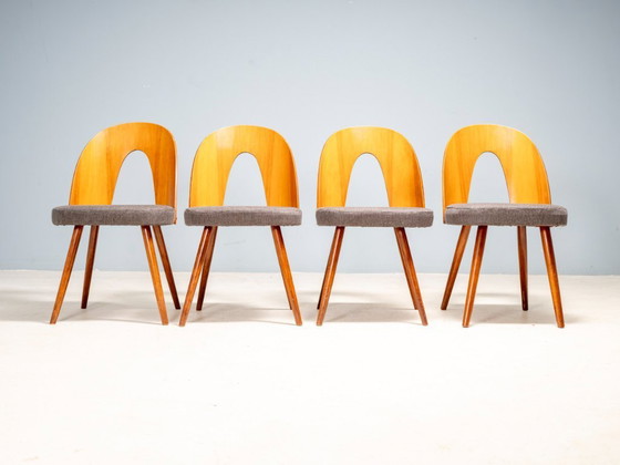 Image 1 of Chaises de salle à manger Antonín Šuman, Tatra Nábytok, Tchécoslovaquie 1960