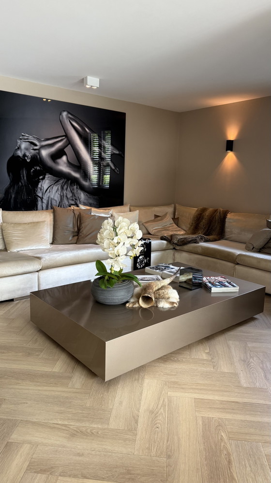 Cobra Art Limited Edition XXL 150x200 – Fotografie, Plexiglass (photo 5 of 5)