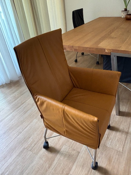 Silla de comedor – Montis, Sillas de comedor, Cromo, Cuero (photo 5 of 7)