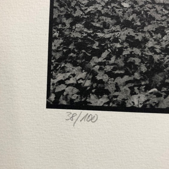 Image 1 of Stampa fotografica firmata Ralph Janowski 38/100