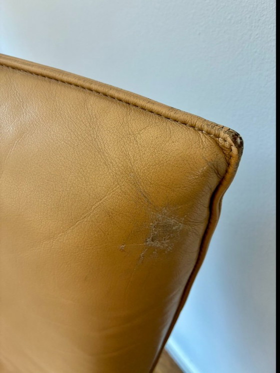 Image 1 of sedie da pranzo Rolf Benz