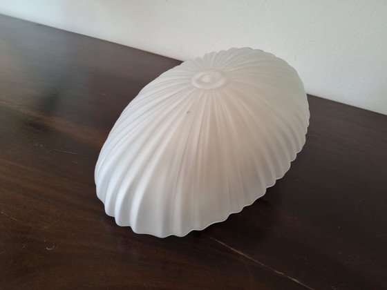 Image 1 of Lámpara de techo Schelpvormige