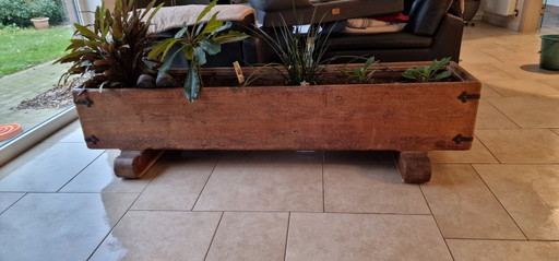 Jardinière en chêne (grande) d'intérieur