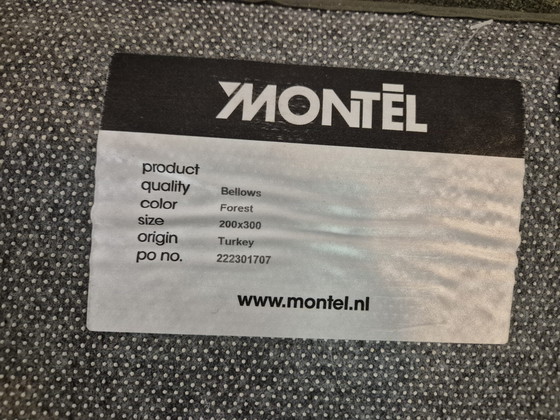 Image 1 of 50% de réduction ! Nouveau - Soufflet pour tapis Montel - Forrest