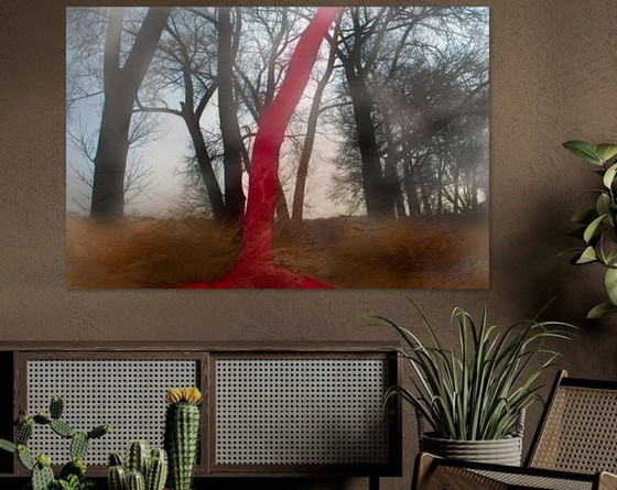 Image 1 of Dromen in het Bos 