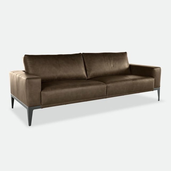 BERT PLANTAGIE RENIO – 3.5-SEATER DESIGN SOFA IN LEATHER – – 3-5 seaters (photo 3 of 5)