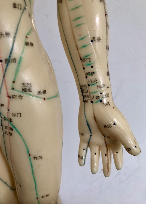 Image 1 of Beautiful Vintage Doll With Acupuncture Meridians