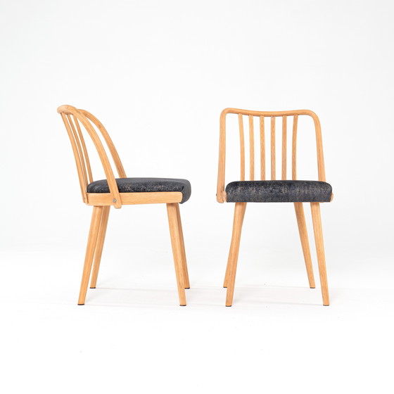 Image 1 of 4x dining chairs by Antonin Suman for Jitona 1960s