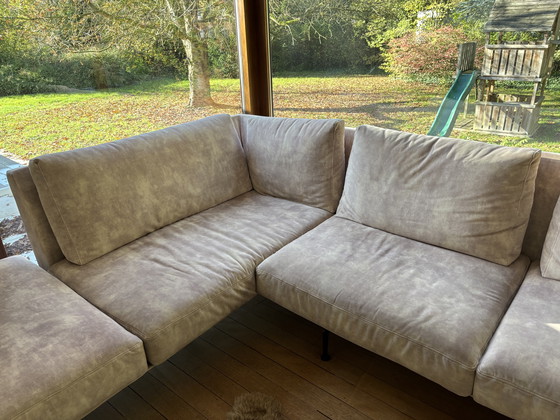 Image 1 of Loungers Everywhere Zico