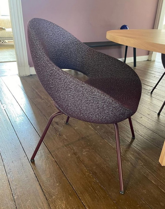 Image 1 of Set di 4 sedie da pranzo 'Shark' di Artifort - Modello da esposizione