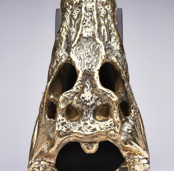Image 1 of Sooka Sculpture, saltwater crocodile skull 37 cm bronze