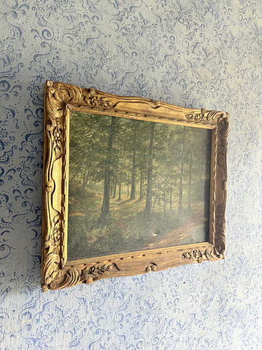 Paesaggio Dipinto interno foresta con luce contro jour