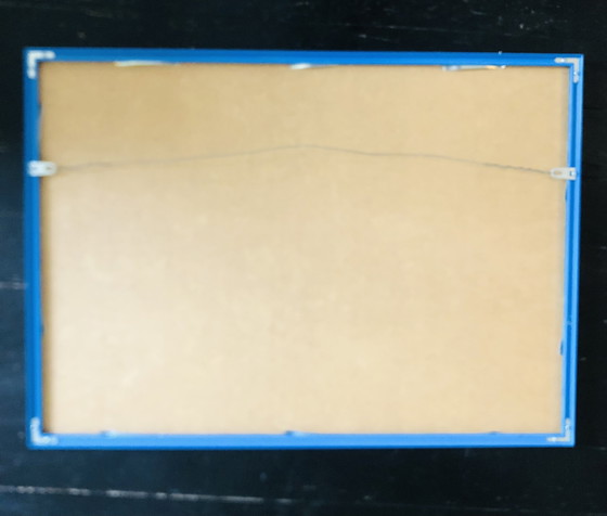 Image 1 of Litografia "coppia di pesci" di Rémi Pesce