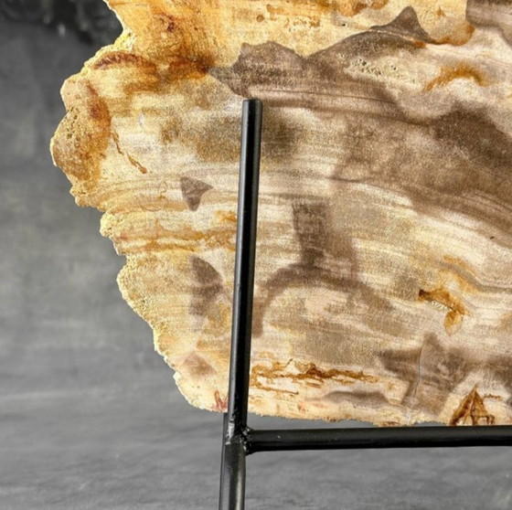 Image 1 of Madera fosilizada de Sooka, estándar a medida (nuevo)