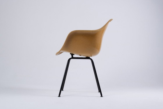 Image 1 of Paire de DAX Eames en fibre de verre – Light Ocre – Herman Miller / Vitra – circa 1965-1975