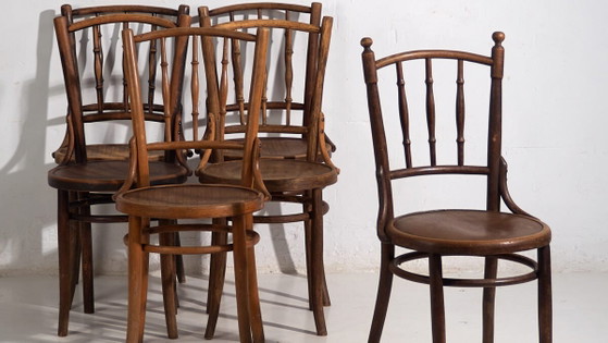 Antique bentwood dining chairs (c.1920). Set of 6 pieces #2 (photo 3 of 40)