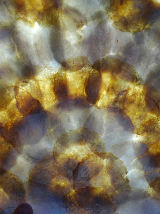 Image 1 of Large vintage mother-of-pearl and brass shell-shaped tray or catchall