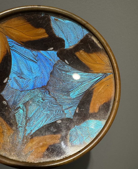 Image 1 of Art Deco butterfly wing trinket tray, Billere