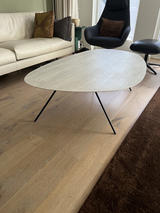 Leolux coffee table