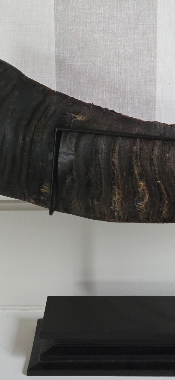Image 1 of Grote, fijn bewerkte buffelhoorn (ref. 4119)