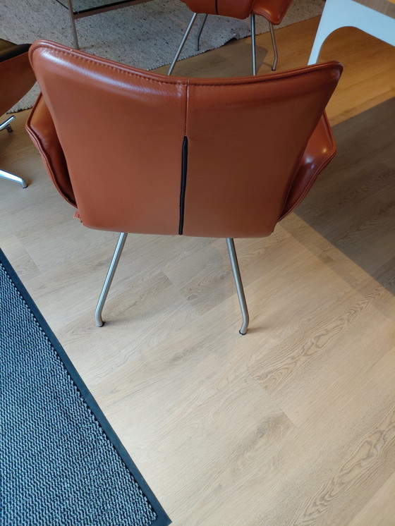 Image 1 of 6 sedie in pelle di Enzo Luca