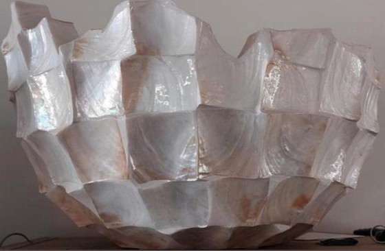 Image 1 of 1 jarrón de concha ovalada y 2 jarrones de concha de nácar con cuencos rotos