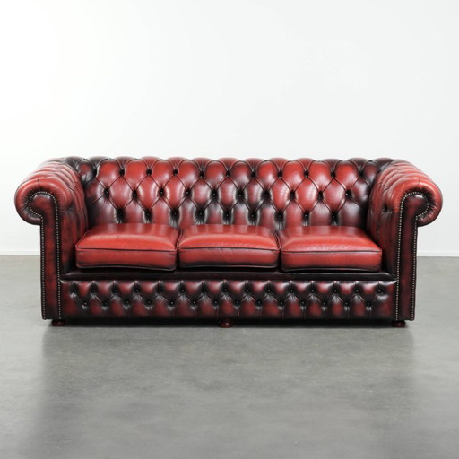 Englisches Chesterfield-Sofa, 2,5-/3-Sitzer, aus Rindsleder in luxuriösem Rot