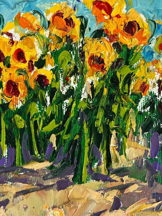 Image 1 of Sunflowers Grow in the Field