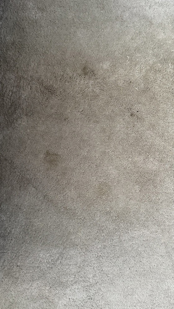 Tapis design Ferreira de Sà-Shade/GLEAM-100% Soie Botanique 240x250 cm – Silk (photo 19 of 20)