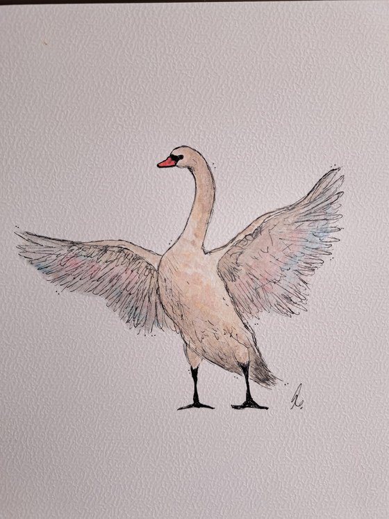 Image 1 of Watercolor painting Swan | Dark brown frame