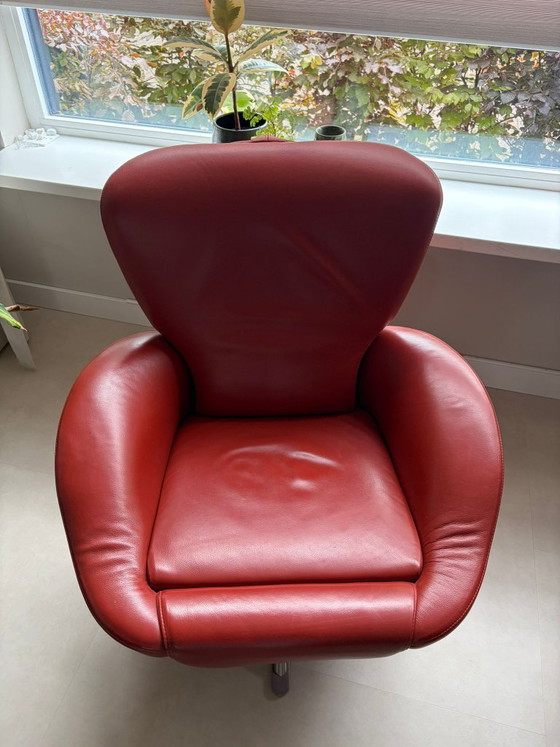 Cassina K10 Dodo – Set mit 2 Designerstühlen – Stühle und Loungesessel, Leather, Metal (photo 6 of 7)