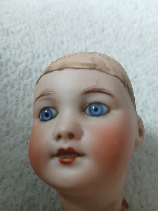 Doll's Head