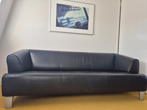 Rolf Benz 2300 – Divani 3 posti, Pelle (photo 3 of 6)