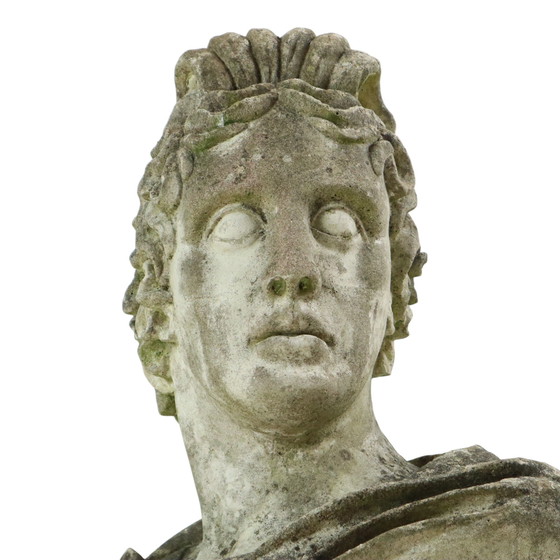 Image 1 of Large Apollo Bust Garden Statue