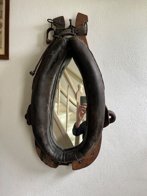 Spiegel van paardenhalster