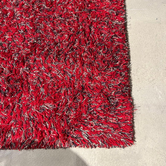 Image 1 of Millenerpoort Licasa vloerkleed - 235x300