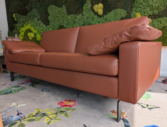 Canapé design COR Conseta – Canapés 2 places, Leather (photo 4 of 13)