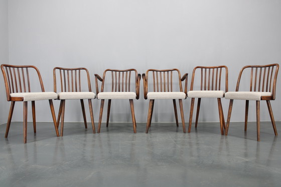 Image 1 of 1960 Antonin Suman Ensemble de six chaises de salle à manger en hêtre, restaurées
