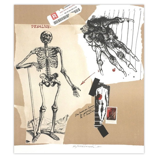 Gesigneerde lithografie van Vladimir Velickovic, Vesalius 2007 – lithos zeefdrukken, Paper (photo 2 of 5)