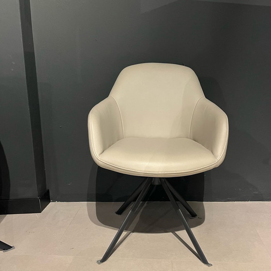 Image 1 of Young Line Furniture Xylo Esszimmerstuhl