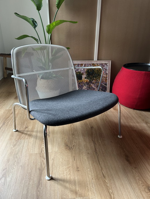 Sillas "Web" de B&B Italia a la venta – Diseñadas por Antonio Citterio