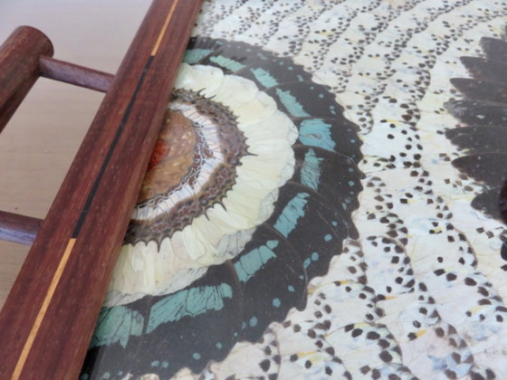 Image 1 of Schmetterlingsflügel-Tablett, Brasilien, 40er Jahre