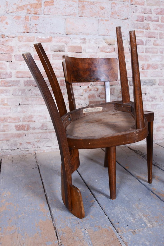 Vier restaurierte Art-Deco-Stühle von Thonet, Buche, Nussbaum, tschechisch, 1940er Jahre – Esszimmerstühle (photo 14 of 15)